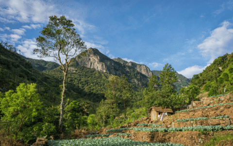 Sri Lanka Packing List