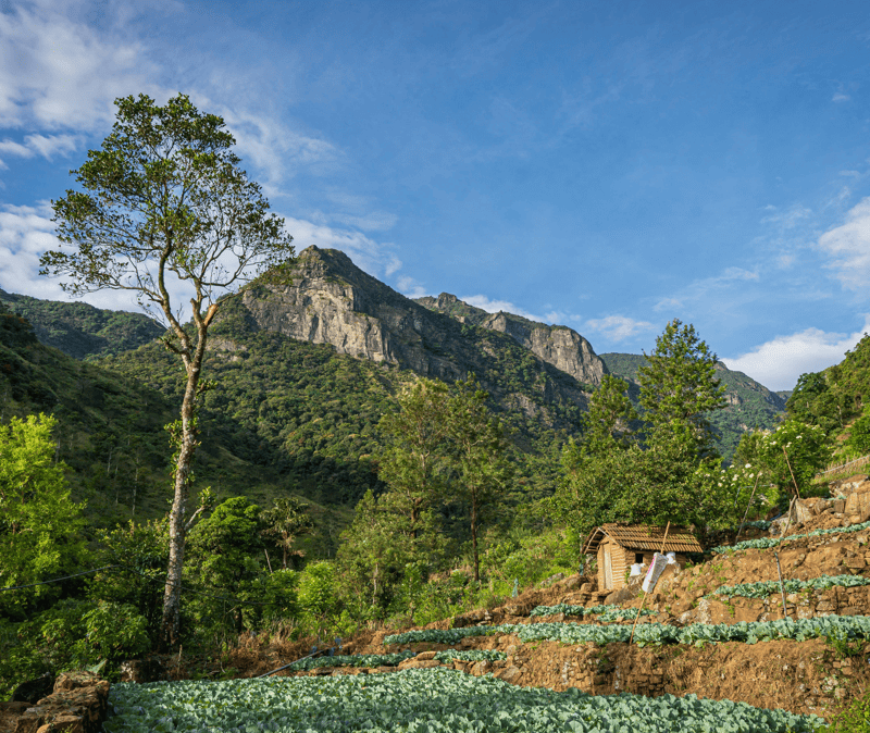 Sri Lanka Packing List